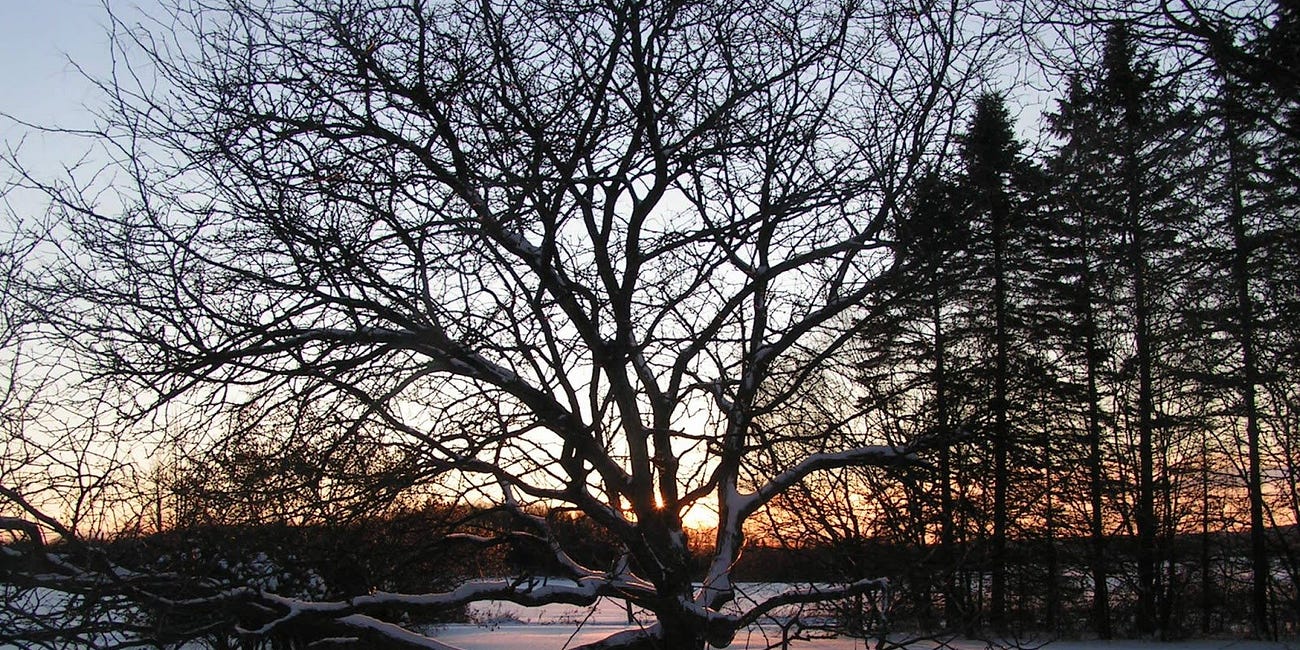 En hiver, activez votre lumière intérieure : méditation et conseils