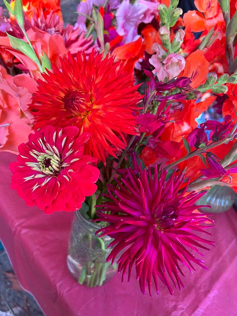 colorful flowers