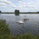 How I (Finally) Got Comfortable Trading Aggressively