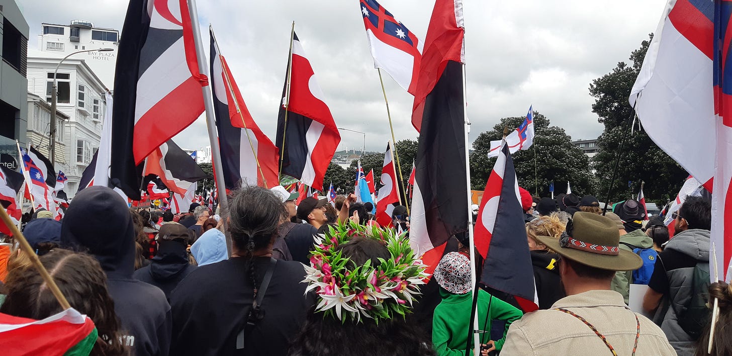 Photo from Hīkoi mō Te Tiriti in Pōneke 19 November 2024 
