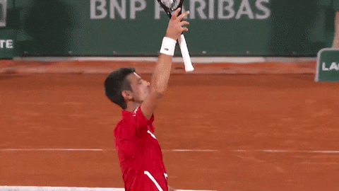 Roland-Garros 2021 : revivez le film des deux demi-finales messieurs