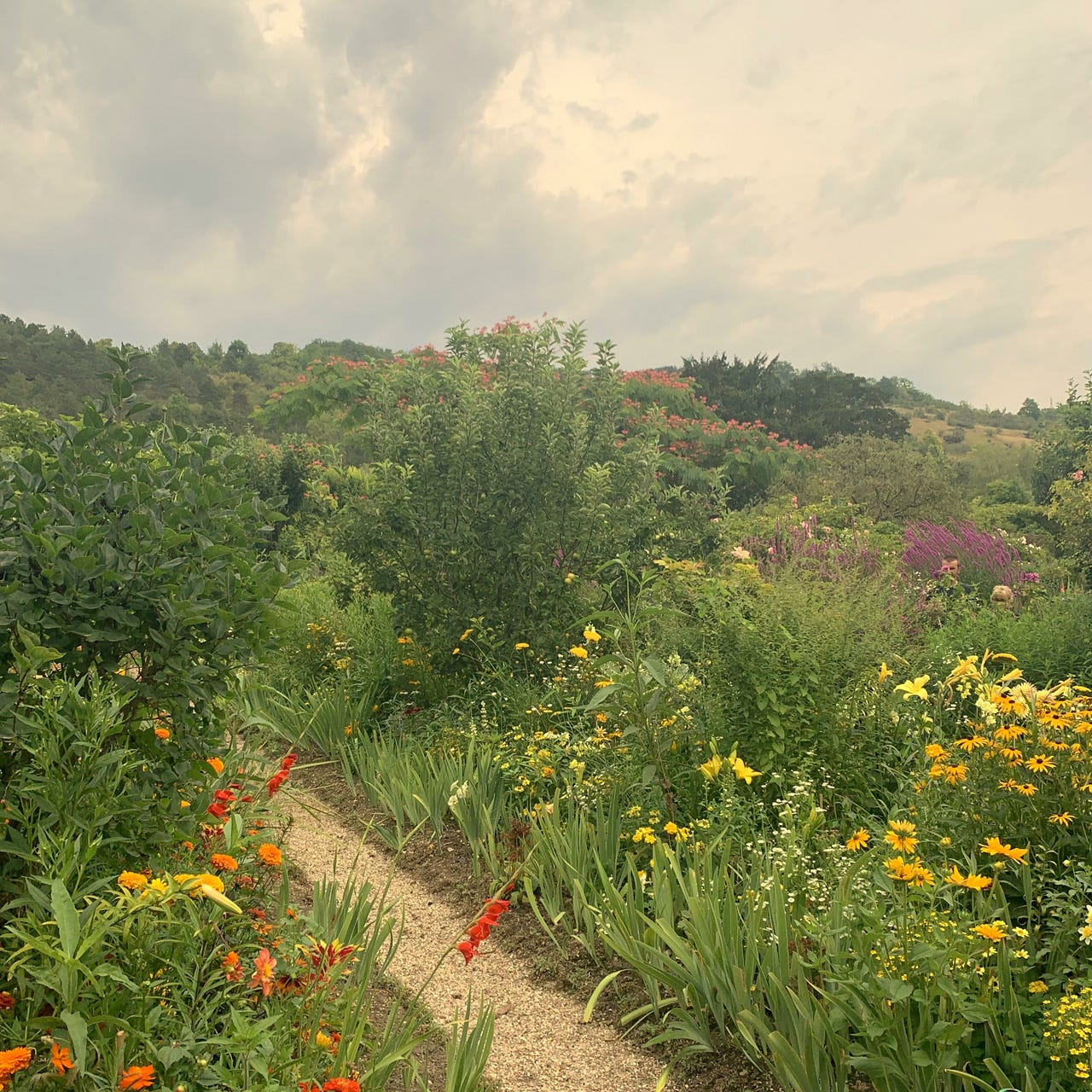 The Undomesticated Heart