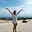 Avatar de Jessie