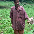 Monsoon Mushrooms: Two-Wheeled Adventures in Northern Thailand - Part I