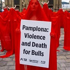 That Time I Stood Naked in a Spanish Square to Protest Bullfighting