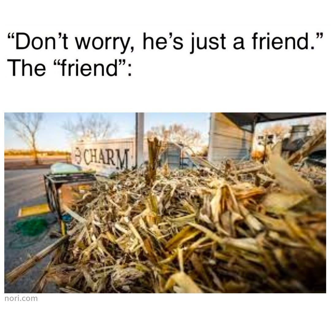 Text reading "'Don't worry, he's just a friend.' The 'friend':" above a heap of corn stover outside a trailer marked Charm.