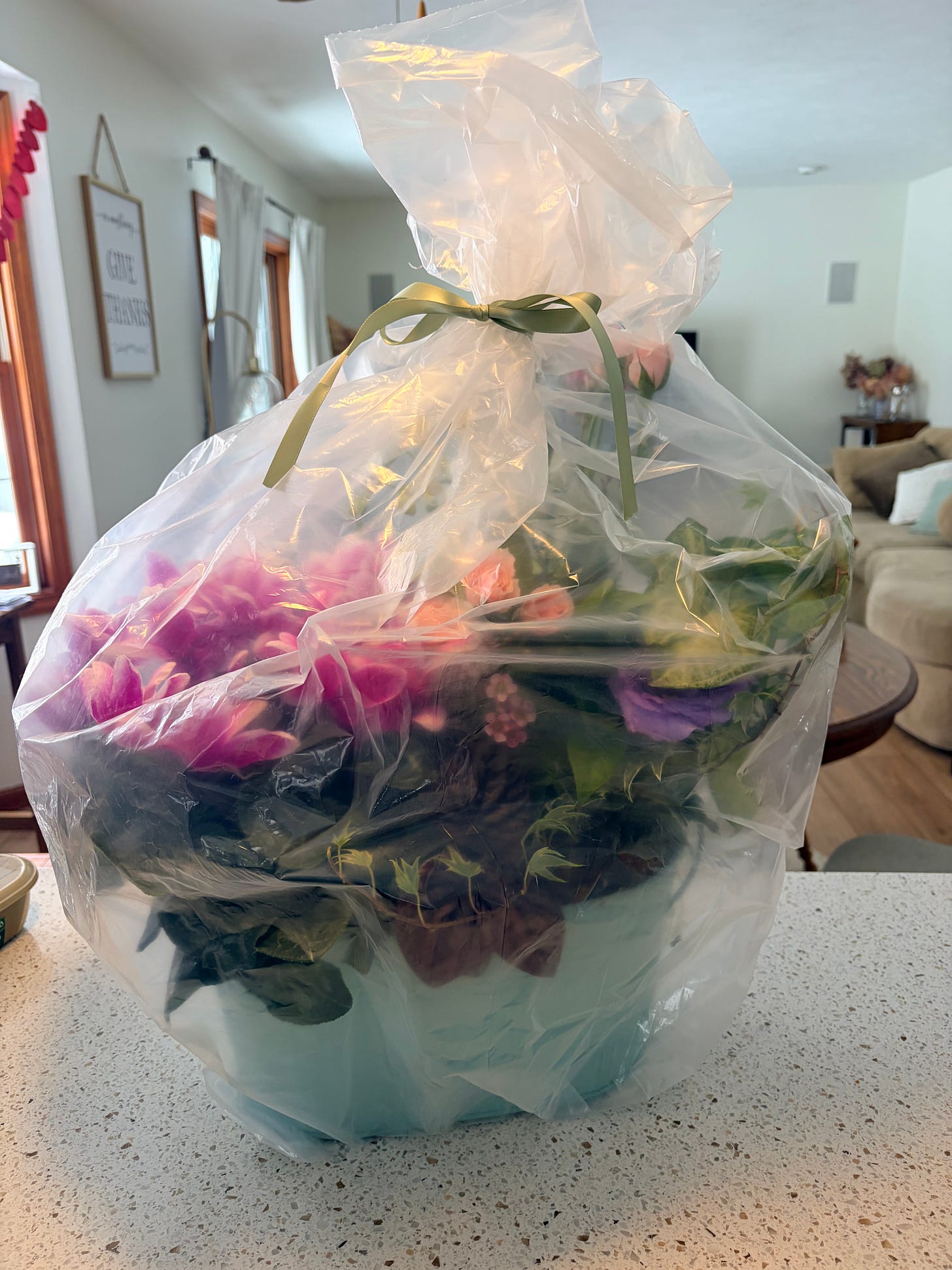 Finding Jesus in a Hard Season: a plantar wrapped in cellophane