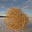 The Tumbleweed Chronicle's avatar