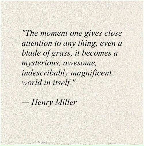 This may contain: a quote from henry miller about the moment that gives close attention to any thing, even a blade of grass, it becomes a mysterious This may contain: a quote from henry miller about the moment that gives close attention to any thing, even a blade of grass, it becomes a mysterious