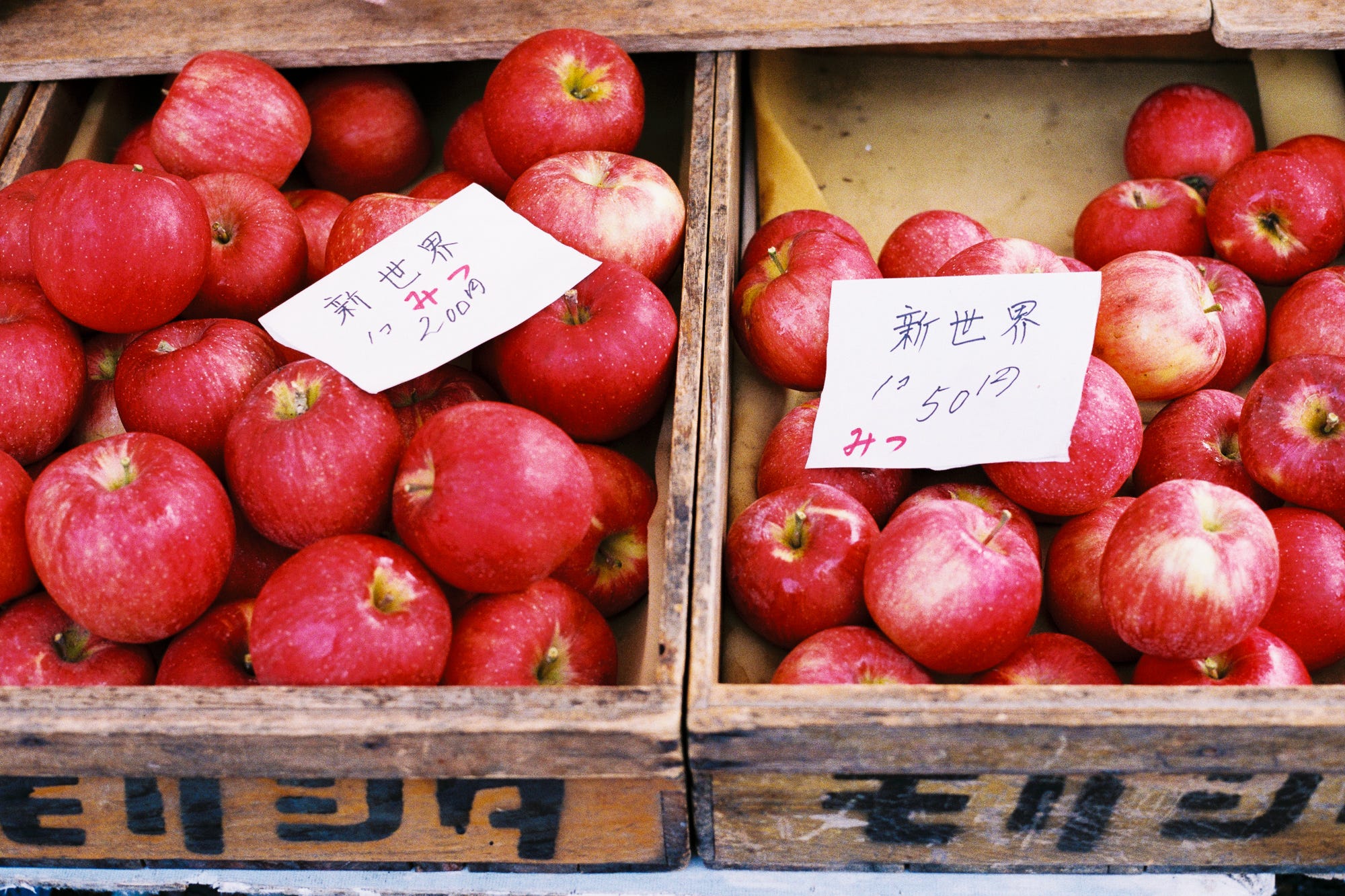 Fujicolor 100 Review - by Matt Murray - Matt Loves Cameras