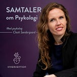 Sprækker af lys