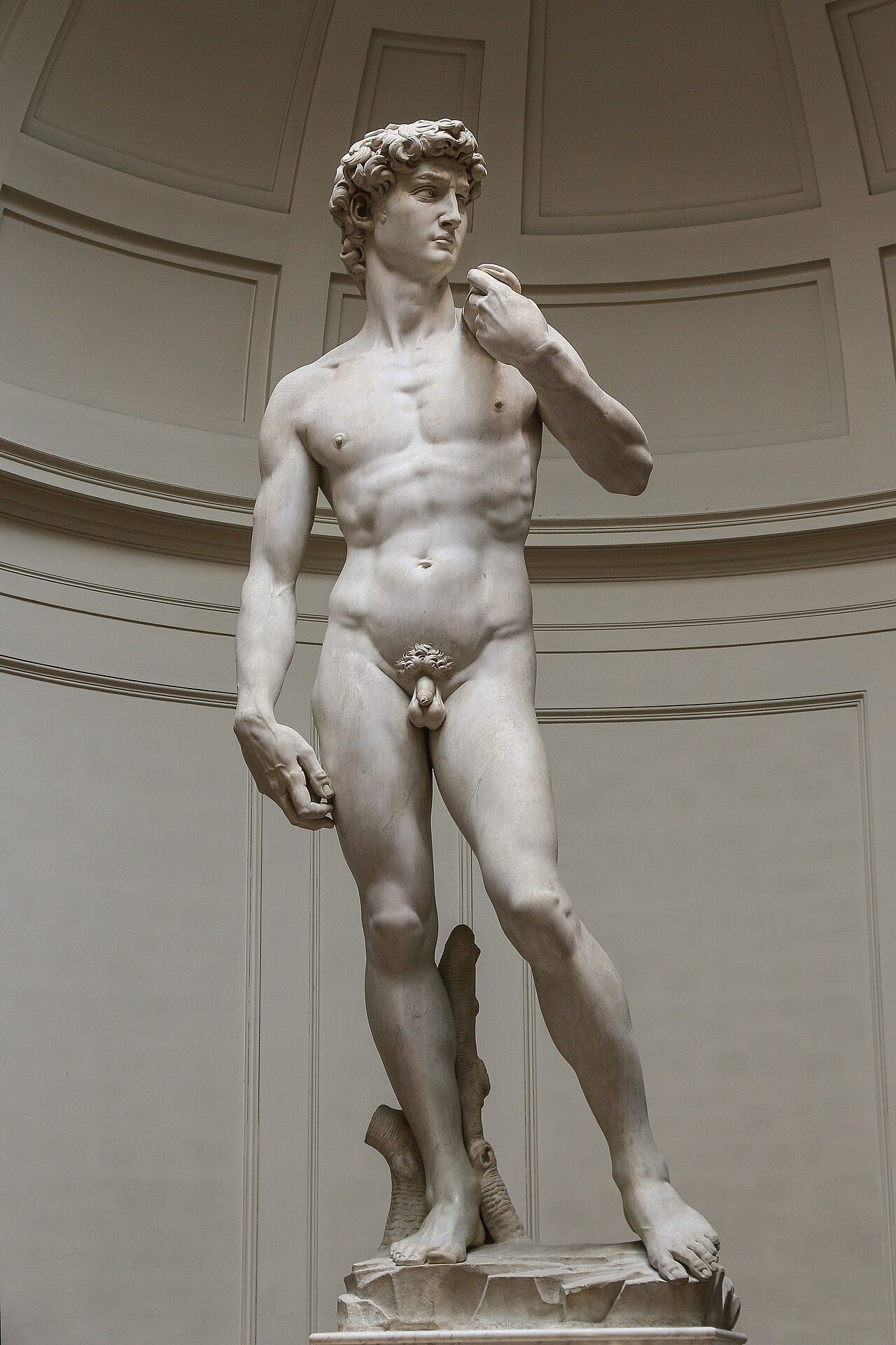 Michelangelo's marble David, a nude youth once fitted with a copper garland Michelangelo's marble David, a nude youth once fitted with a copper garland