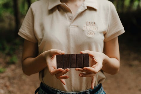 Two people kneel and crouch on a forest farm floor, inspecting soil and leaf litter among scattered palm fronds.  Field workers examine the ground in an agroforestry plot, with dry fronds used as mulch and young plants emerging nearby.  A man and a woman check soil conditions in a shaded plantation, surrounded by organic ground cover and regeneration.  Close view of a cacao-style agroforestry floor; two workers assessing mulch, debris, and new growth in a tropical setting.  Two farm workers in beige shirts and jeans inspect the ground in a syntropic farming system with thick organic cover.