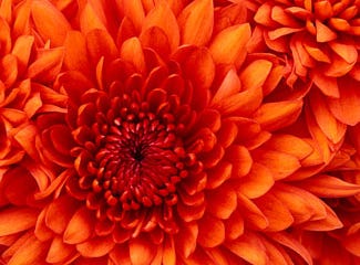 Is my image high-res enough for printing? Is my image high-res enough for printing?