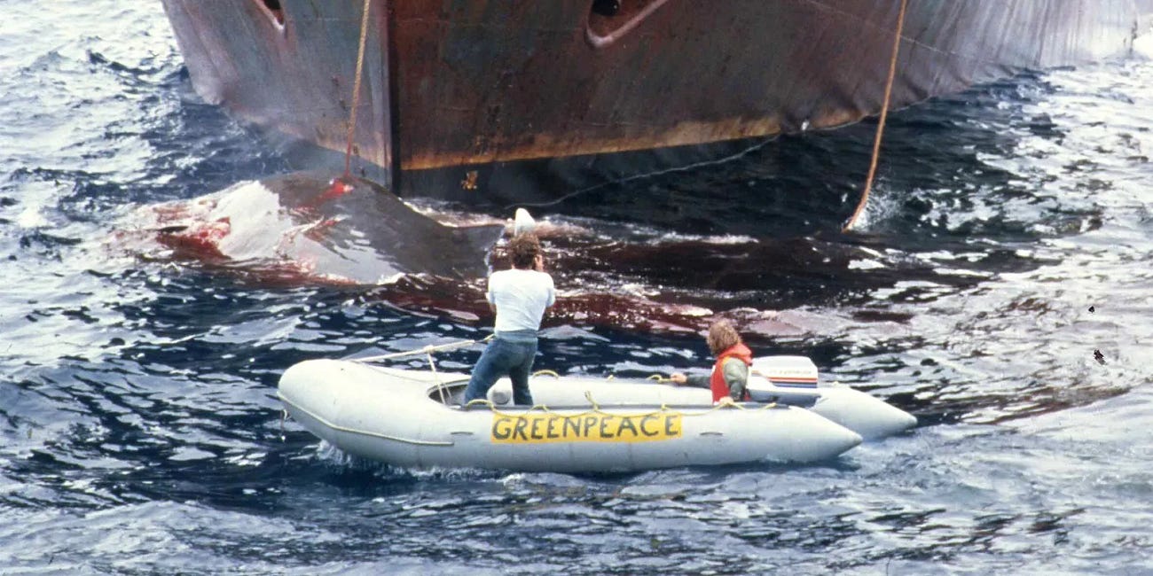 Zodiacs, Killers, and Green Peace