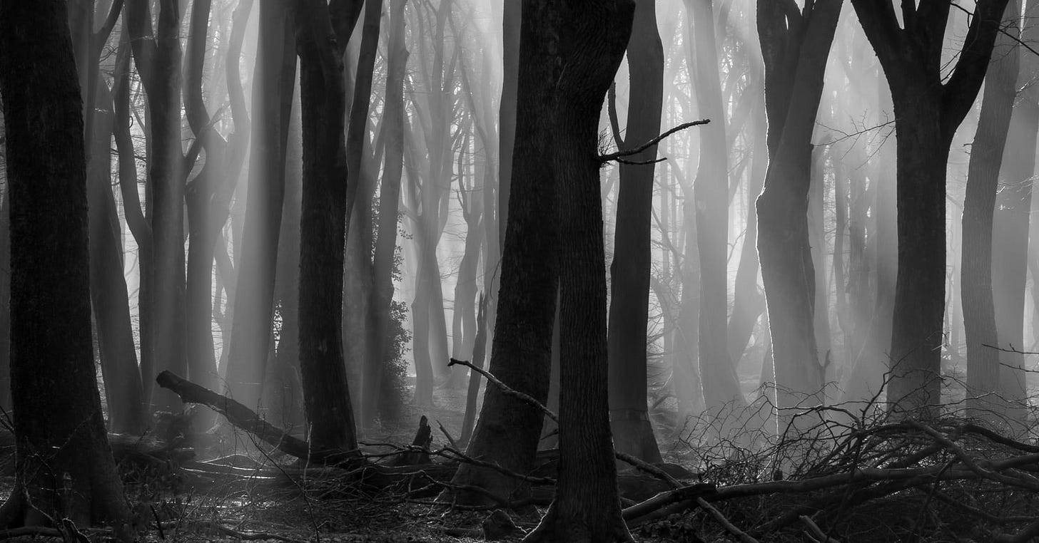 Black White Photography - From Ansel Adams to today's digital workflow
