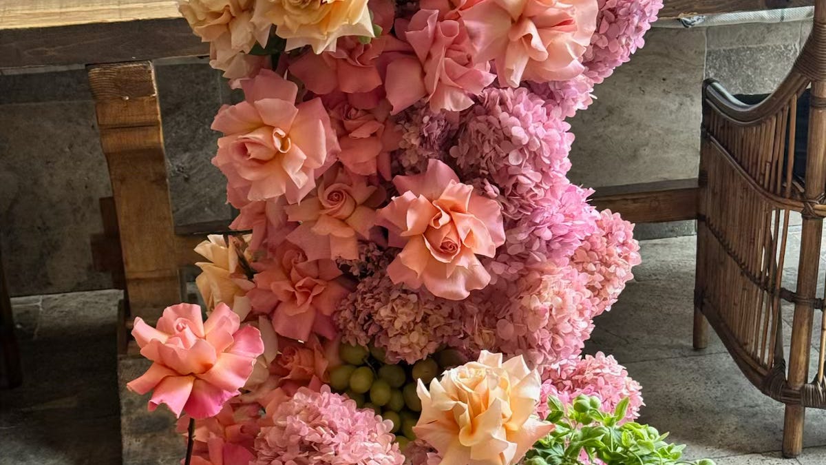 Relex Roses Reflex-Worthy Roses: My Go-To Varieties and How They Perform