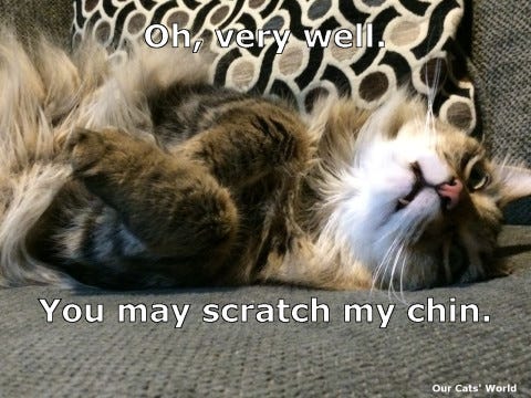 Chase_Chin_Scratch_lol Chase_Chin_Scratch_lol