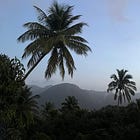 What are your travel intentions?