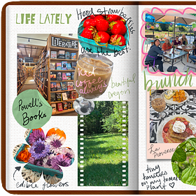 Life, Lately — Entry No. 2