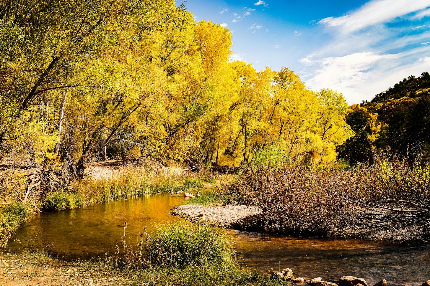 It’s a sunny day. Nature. There’s a creek and blue sky.