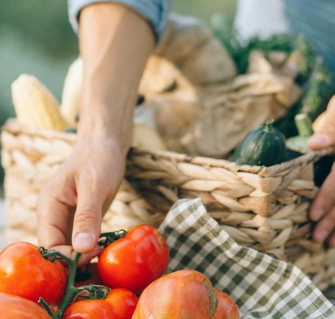 Embracing Midlife Energy Through Movement & Nourishment During Summer