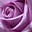 jenni jackson's avatar