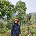 How do you raise up an underdog tea region?