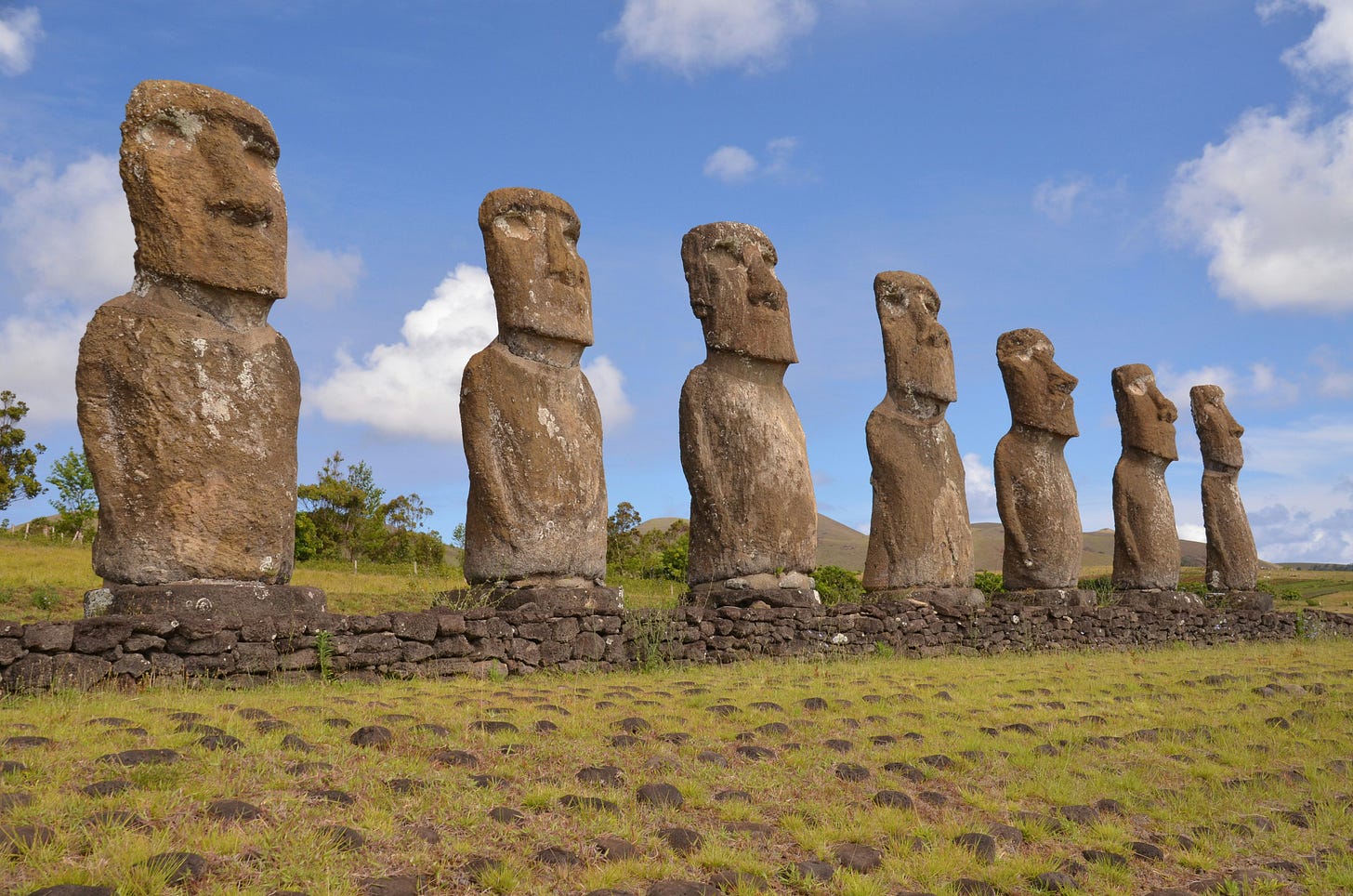 Seven well worn brownish volcanic rock Moais standing on an Ahu made of smaller flat rocks.  The sloping hill in front of them contain smaller rocks laid out in front of the ahi in straight lines across and up and down as if it were a mosaic in the grass.  Behind the Moais there are distant small hills and trees, as well as a bright blue sky with cumulus clouds.