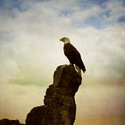 Is the First Amendment Overrated?