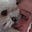 Amy Ropple's avatar