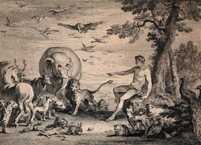 Adam naming the animals. Etching by G. Scotin and J. Cole after H. Gravelot  and J.B. Chatelain, 1743. | Wellcome Collection