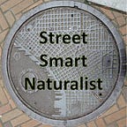 Street Smart Naturalist: Explorations of the Urban Kind