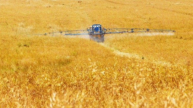 Agriculture. Credit: PublicDomainPictures / Pixabay. Licenza: CC0 1.0. Agriculture. Credit: PublicDomainPictures / Pixabay. Licenza: CC0 1.0.