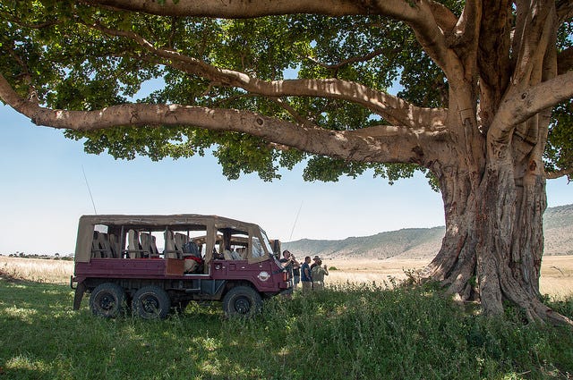 Our huge jeep underneath an even larger tree. Our huge jeep underneath an even larger tree.