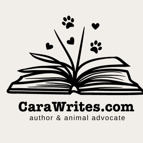 Cara Writes