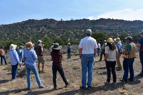 "A gallery from the Western Landowners Alliance field day at Redwing Ranch: attendees in sun hats gathered on the grassland listening to a presentation, with rugged foothills in the background, and two women in conversation, one gesturing out toward the land.