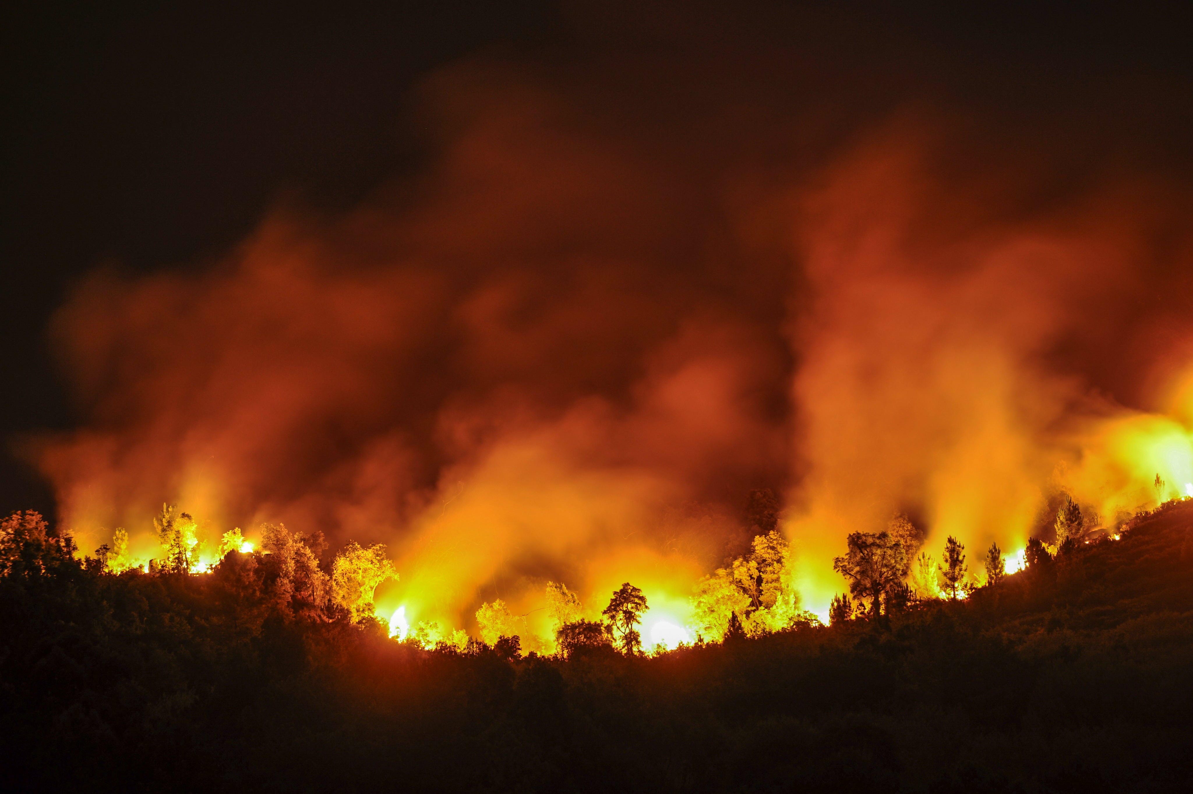 Tree line on hill, night time ablaze in orange and yellow.