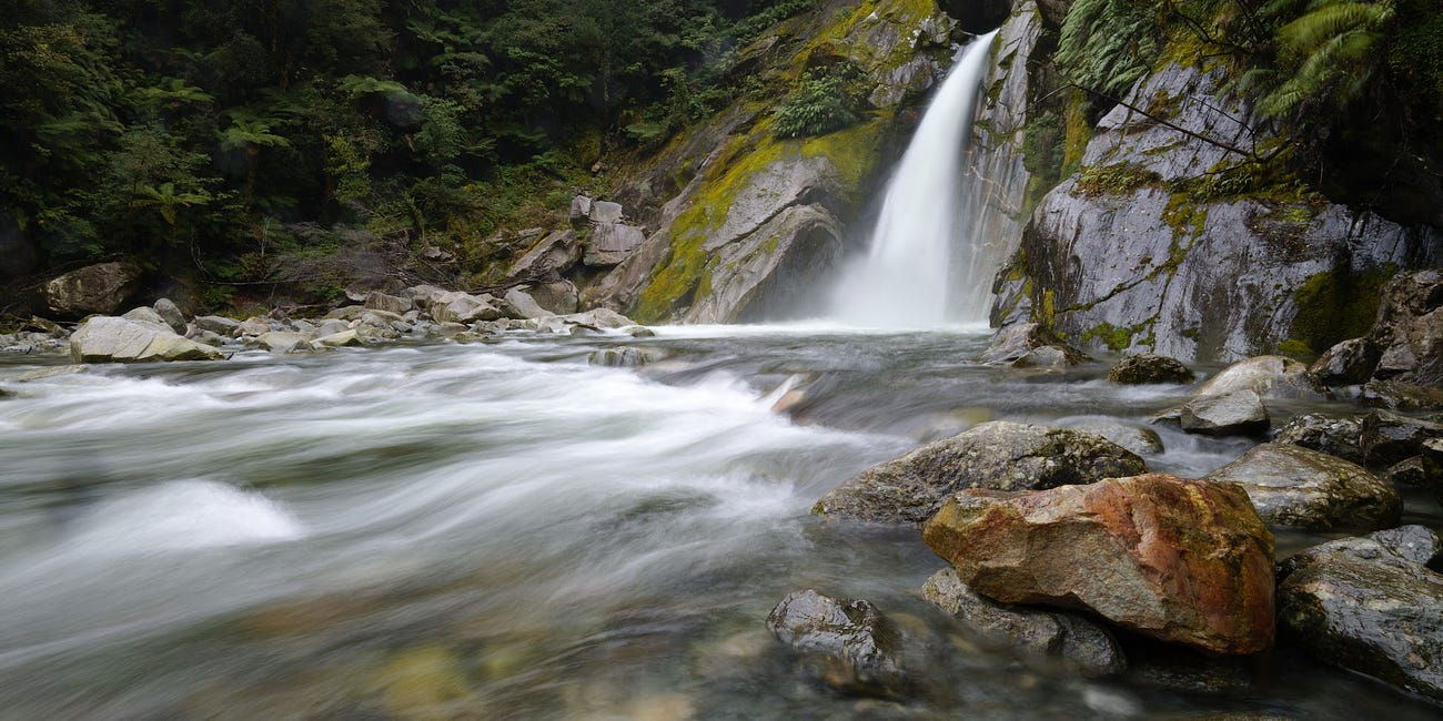 Fiordland National Park (Milford Sound)