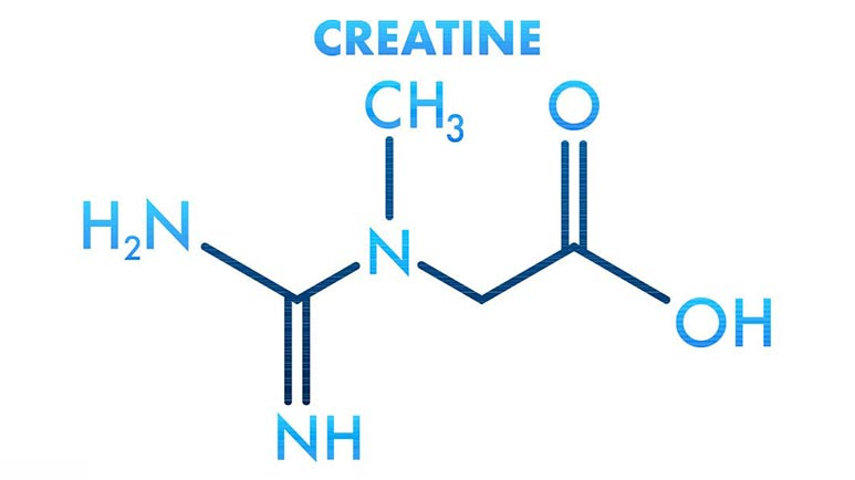 creatine and cardiovascular health