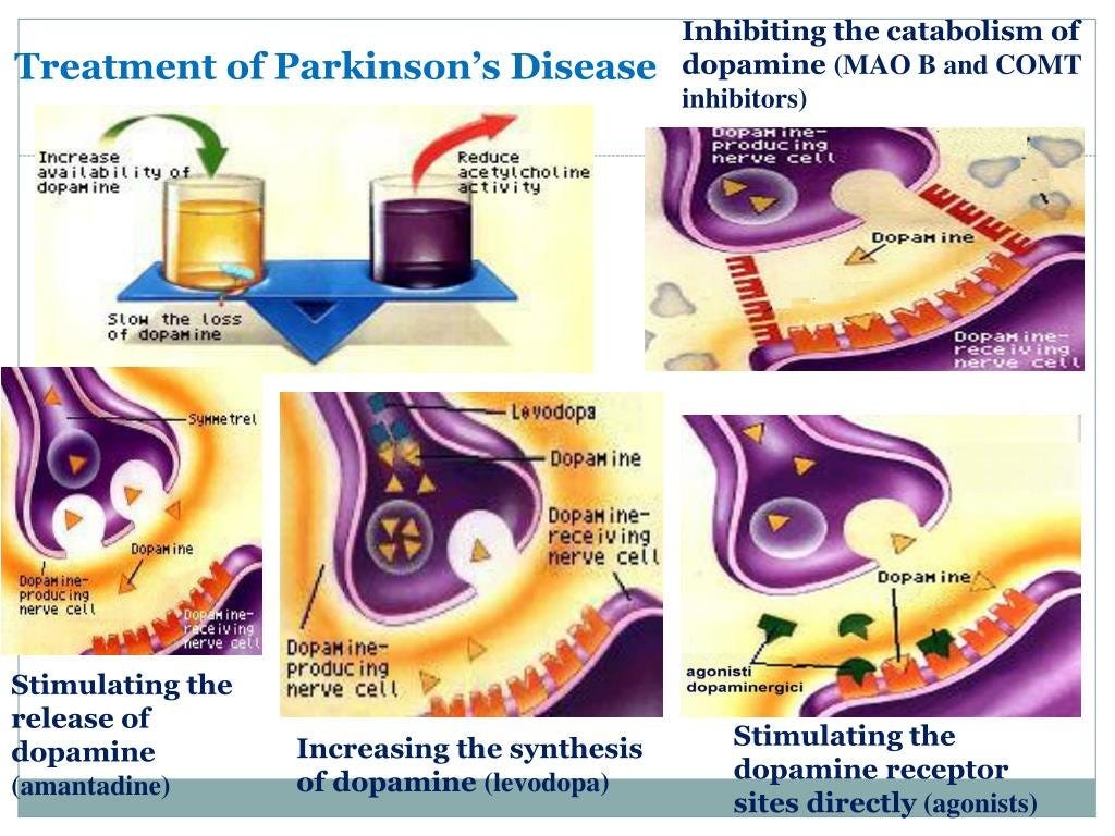 5/
"The most common treatment for PD is focused on dopamine (DA) replacement (e.g., levodopa = L-Dopa), which unfortunately losses its efficacy over months or years and can induce severe dyskinesia."

 
