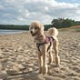 Tami's avatar