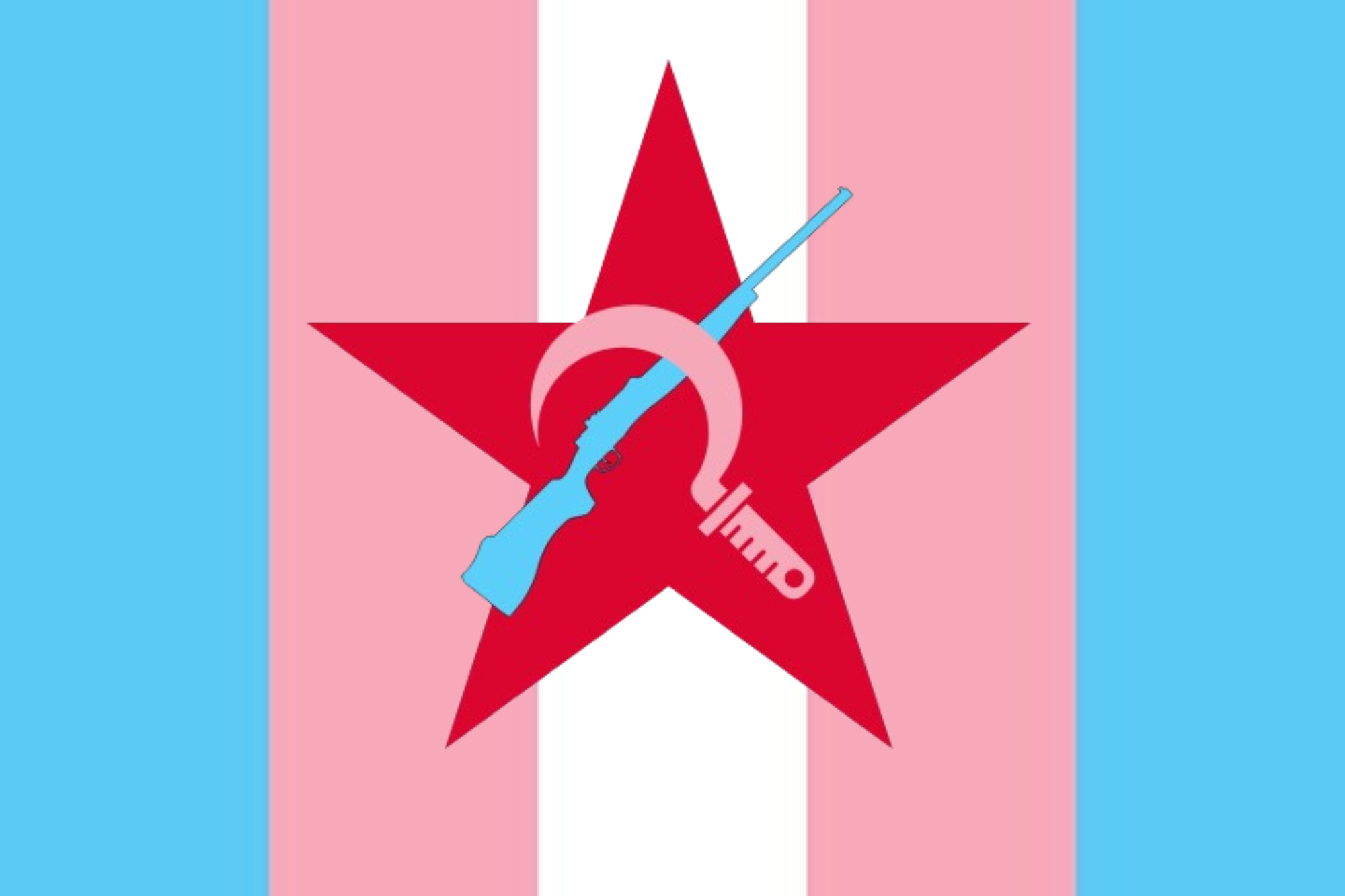 THE REVOLUTIONARY TRANSFEMME