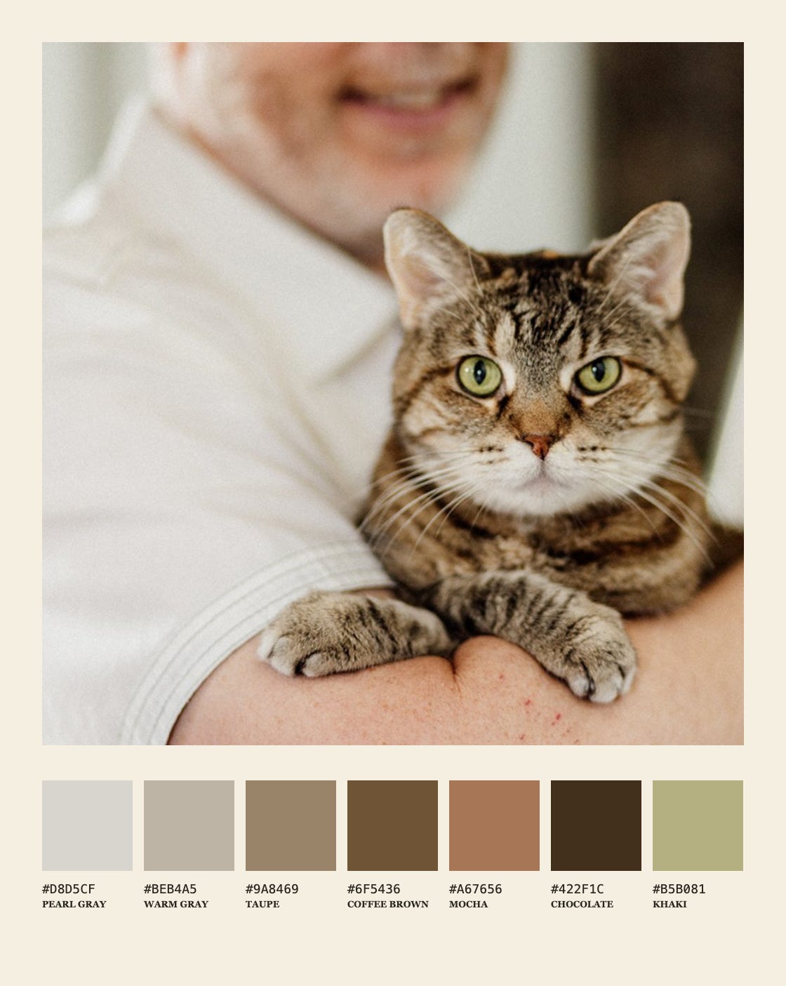 Tabby cat portrait paired with a color palette of grays, browns, mocha, chocolate, and khaki. Tabby cat portrait paired with a color palette of grays, browns, mocha, chocolate, and khaki.