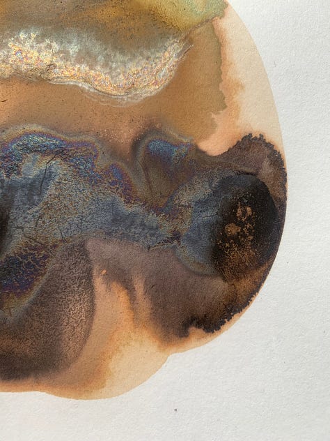 Natural ink on paper. Willow ink with added iron and copper pipe.