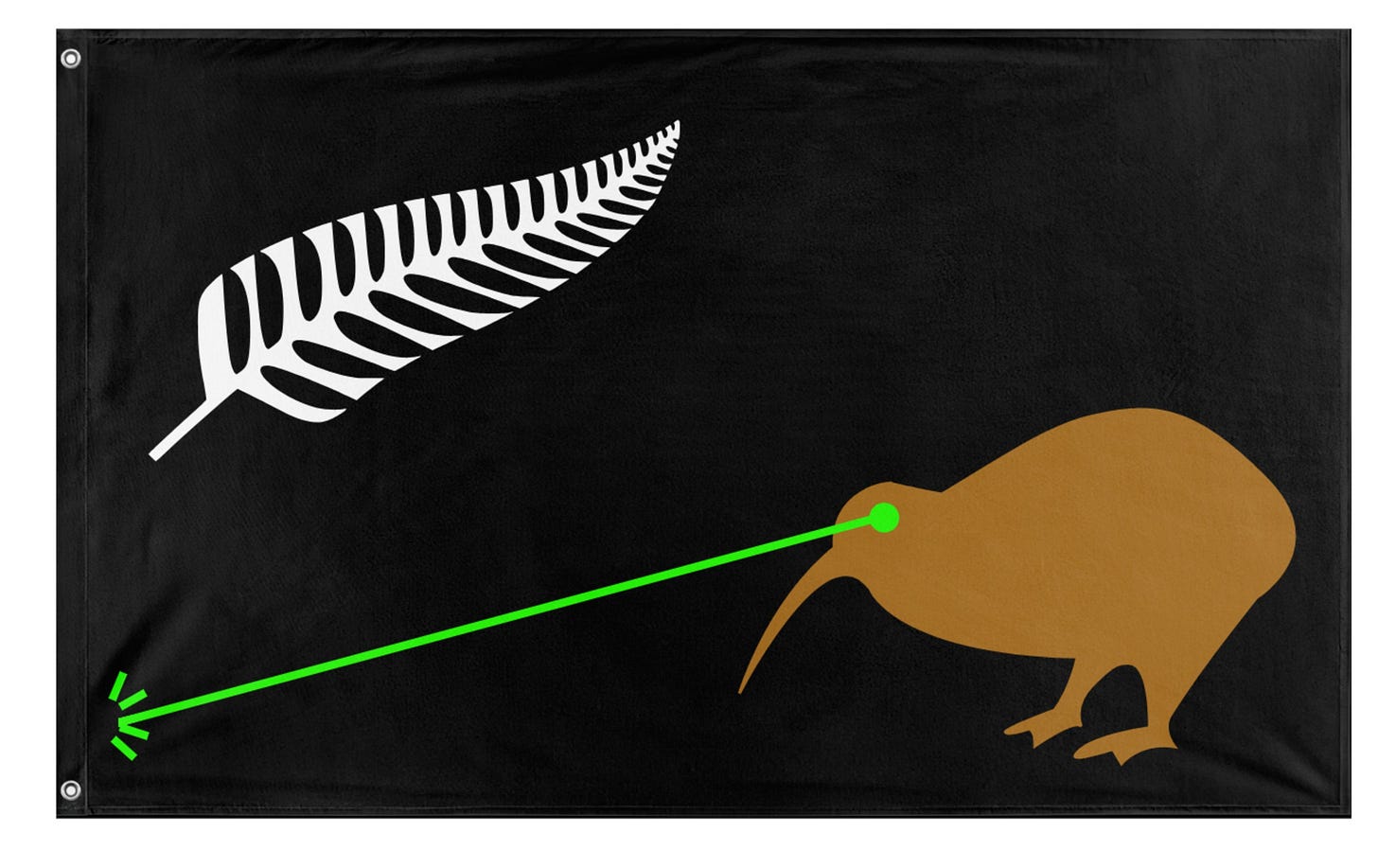 Laser Kiwi Flag (Lucy Gray (New Zealand))