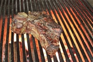 TV - steak being grilled TV - steak being grilled