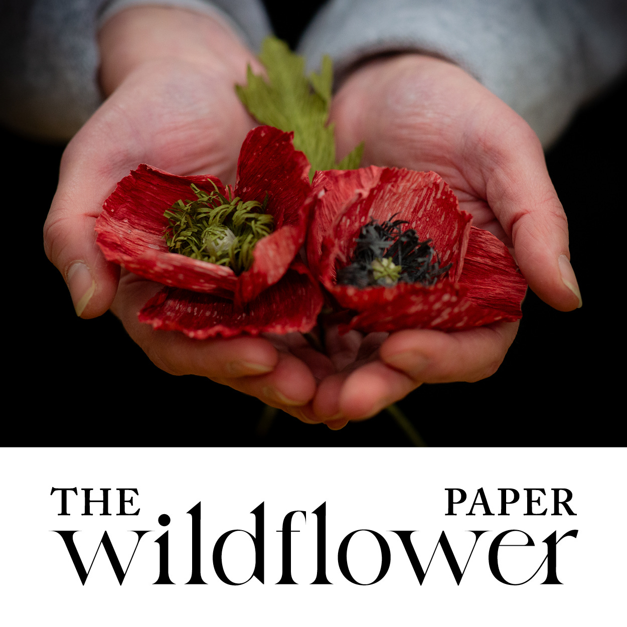 The Paper Wildflower