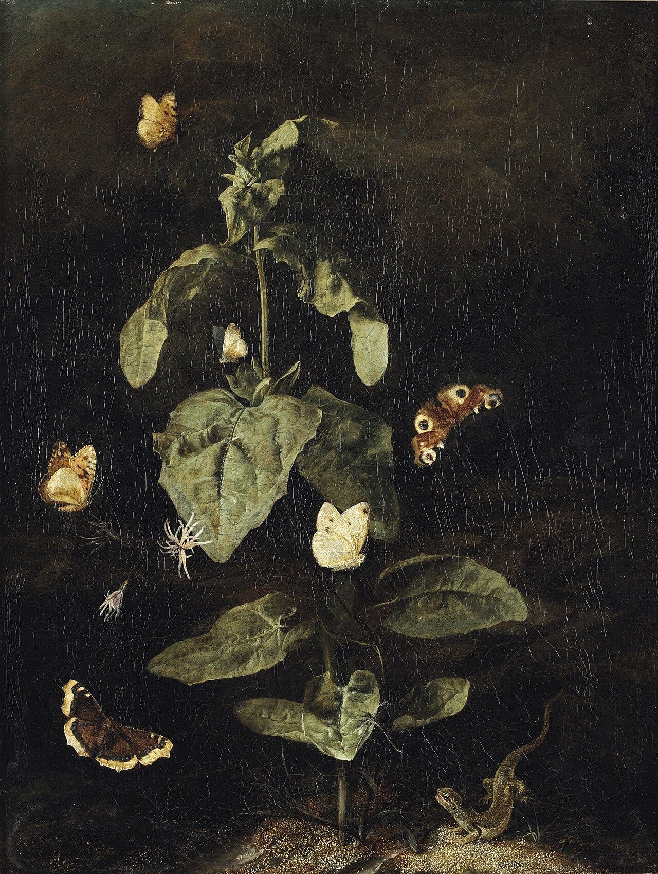 A dark forest floor with butterflies, snakes, frogs and toadstools among tangled plants A dark forest floor with butterflies, snakes, frogs and toadstools among tangled plants