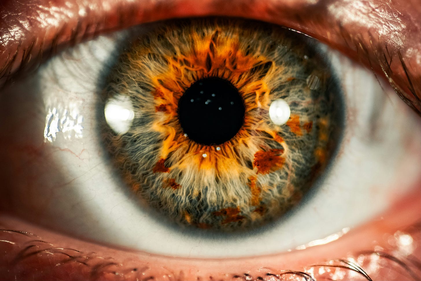 Close up picture of a human eye